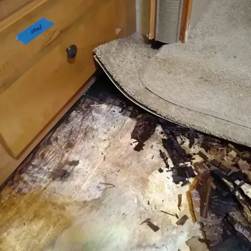 Wood Floor Water Damage in Gantt, SC